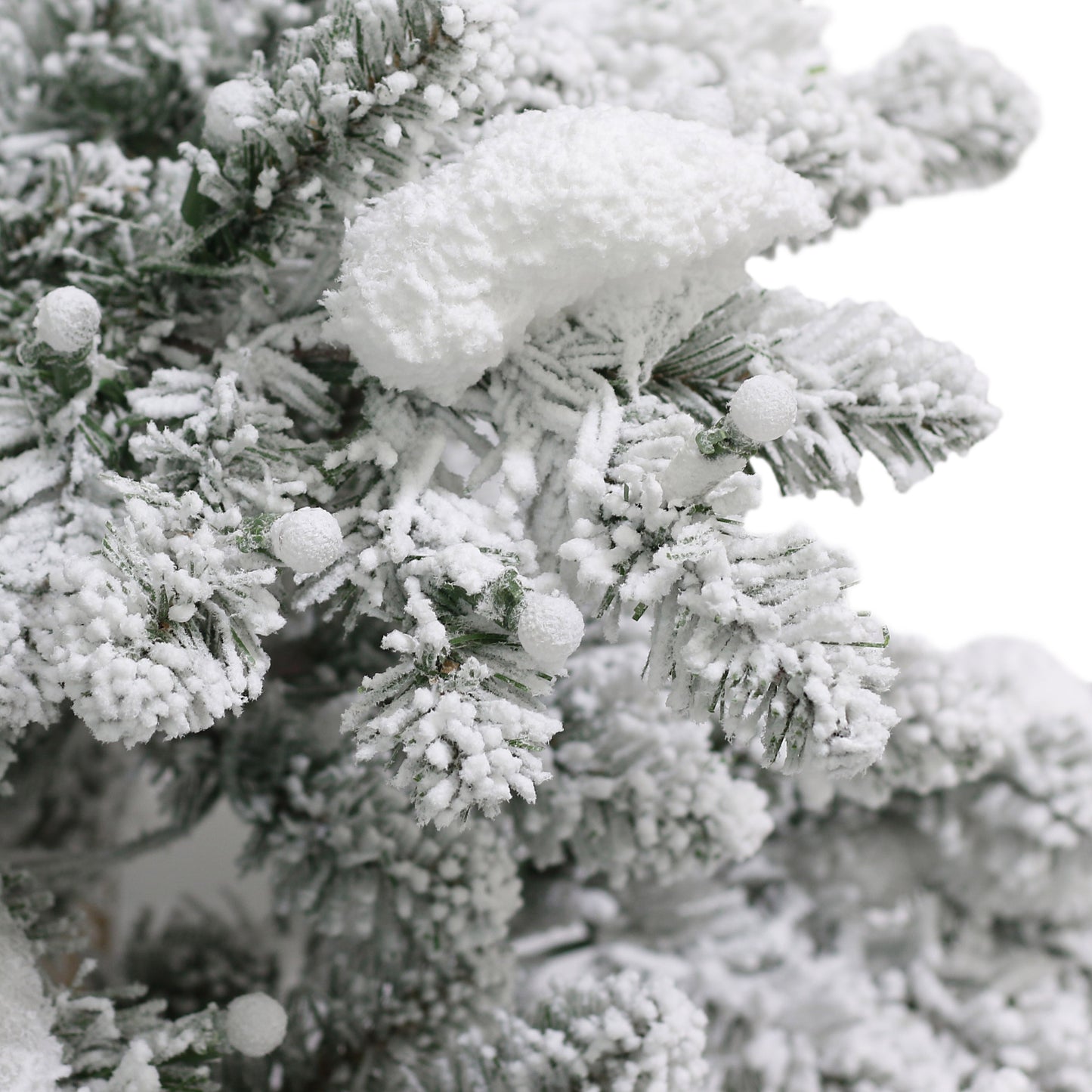 6.5 / Full / Warm White LED