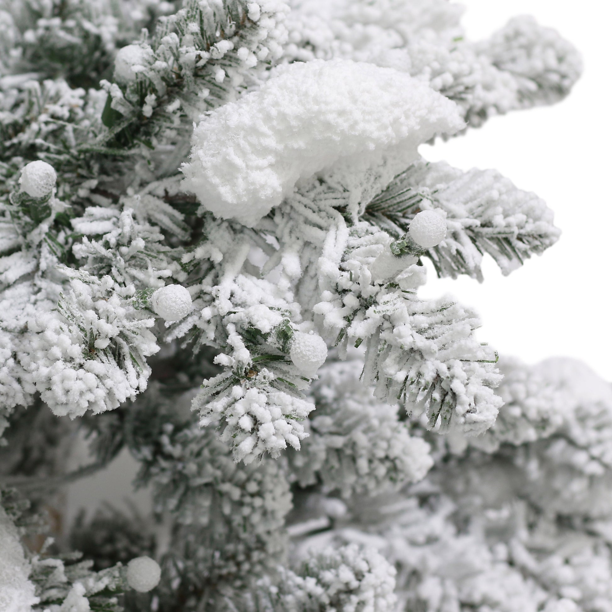 6.5 / Full / Warm White LED