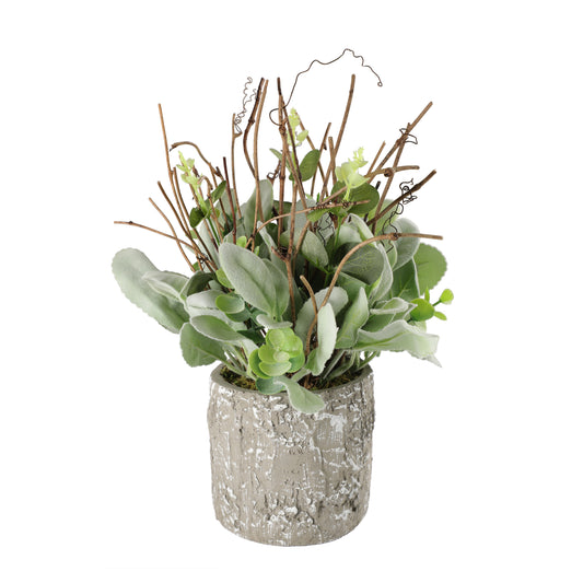 11" Lambs Ear Potted Plant With Twig & Greenery Leaves