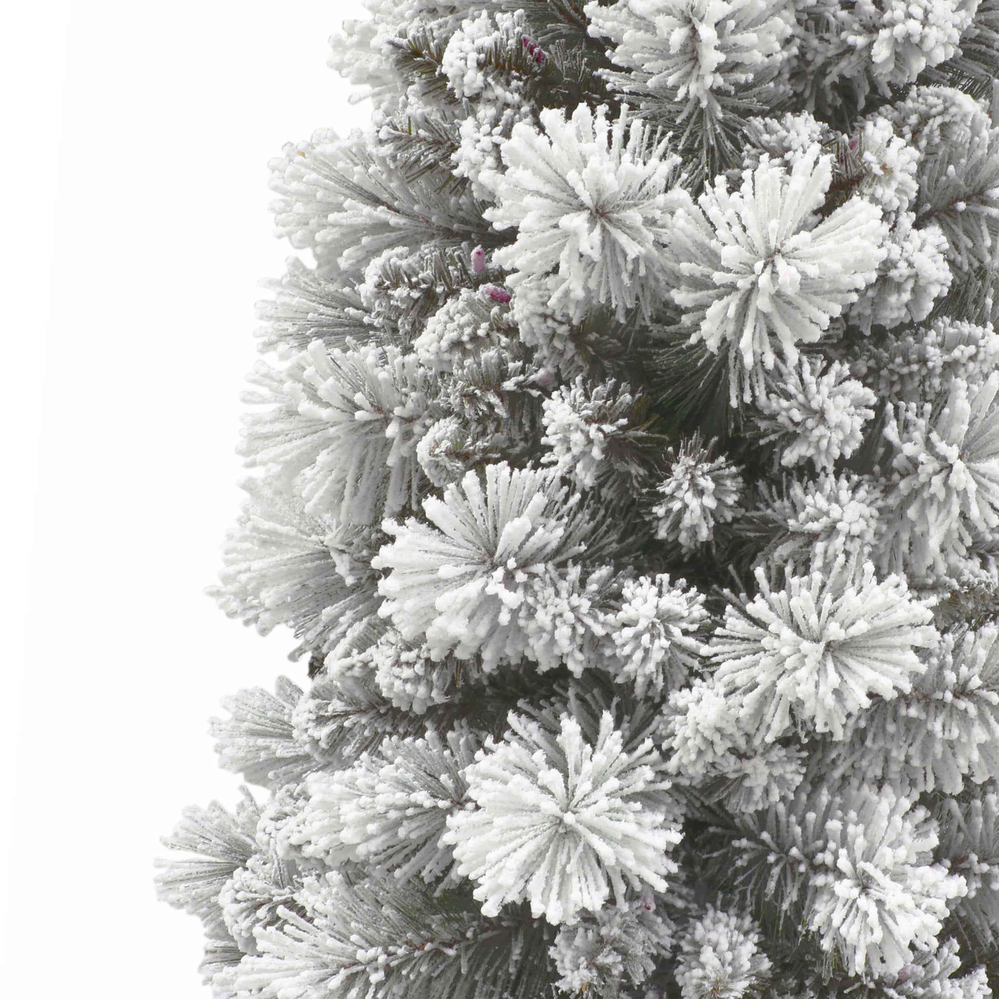 6.5 / Clear/Multi Incandescent