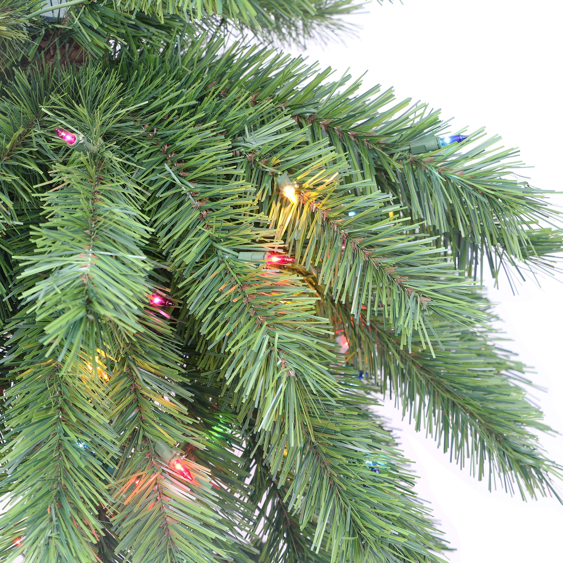 6 / Clear/Multi Incandescent