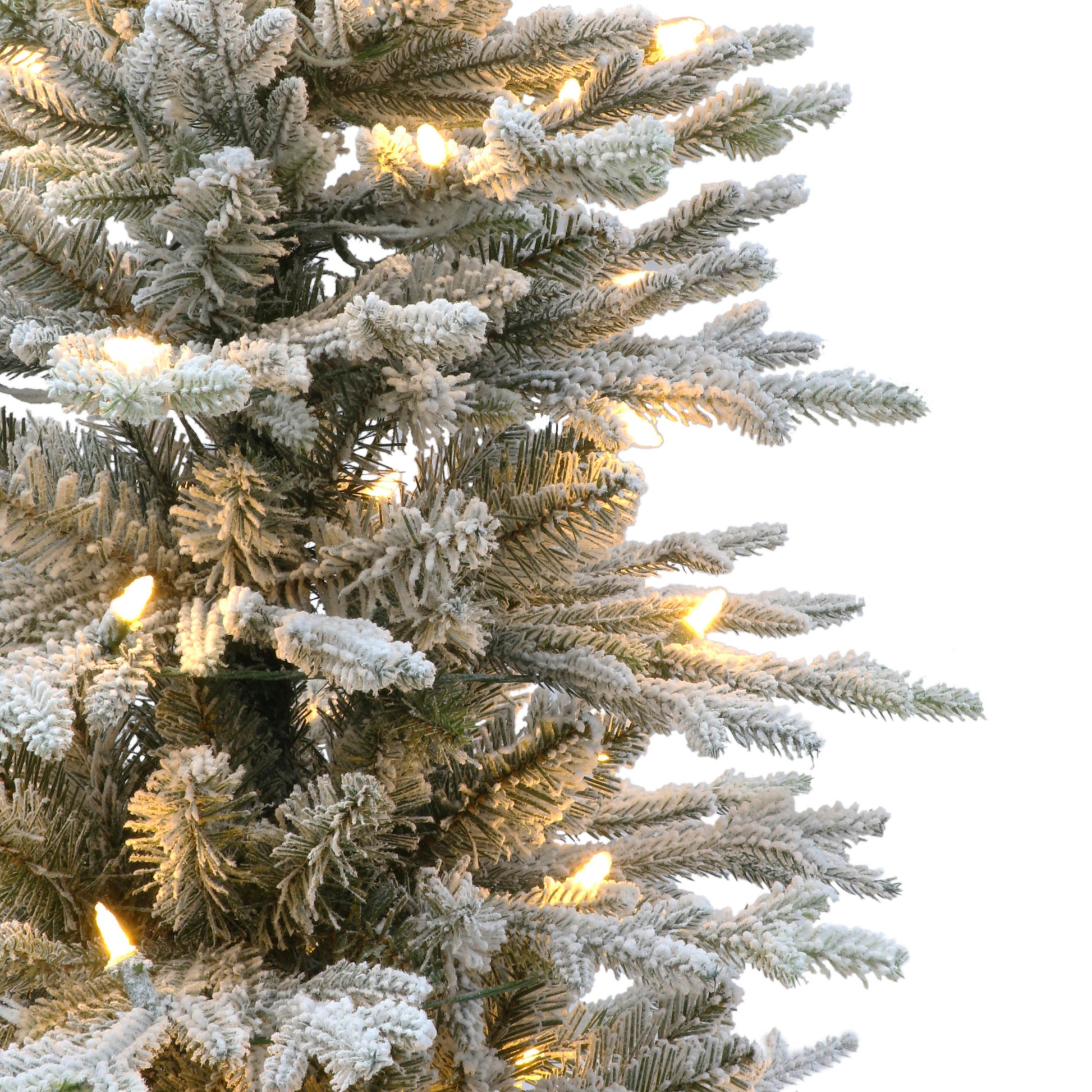 6 / Dual Function Clear/Multi LED / Flocked