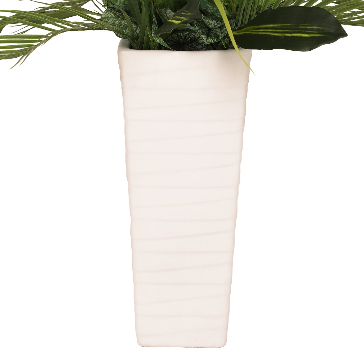 6 ft. Artificial Ficus Microcarpa Tree with White Decorative Pot