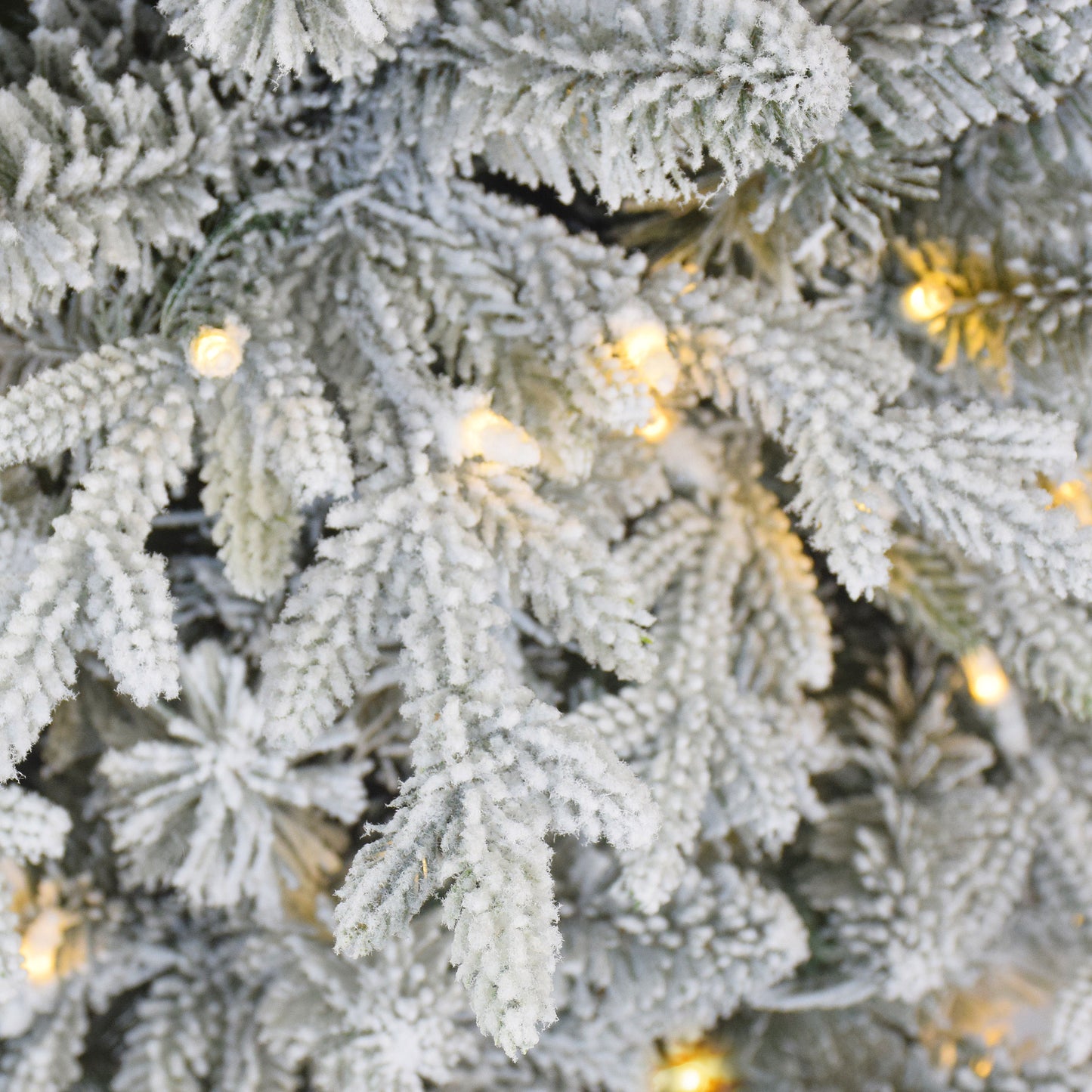 7.5 / Dual Function Clear/Multi LED