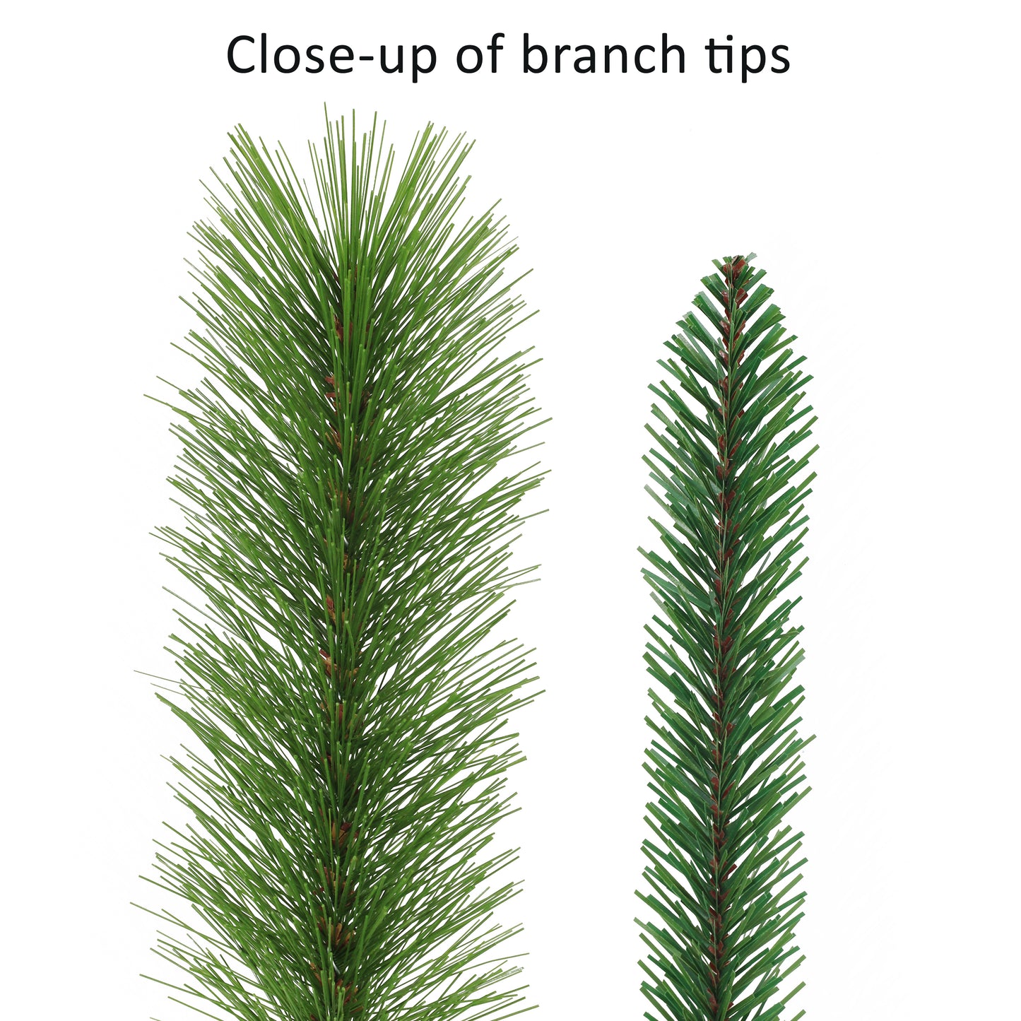 20 ft x 10" Spruce Garland