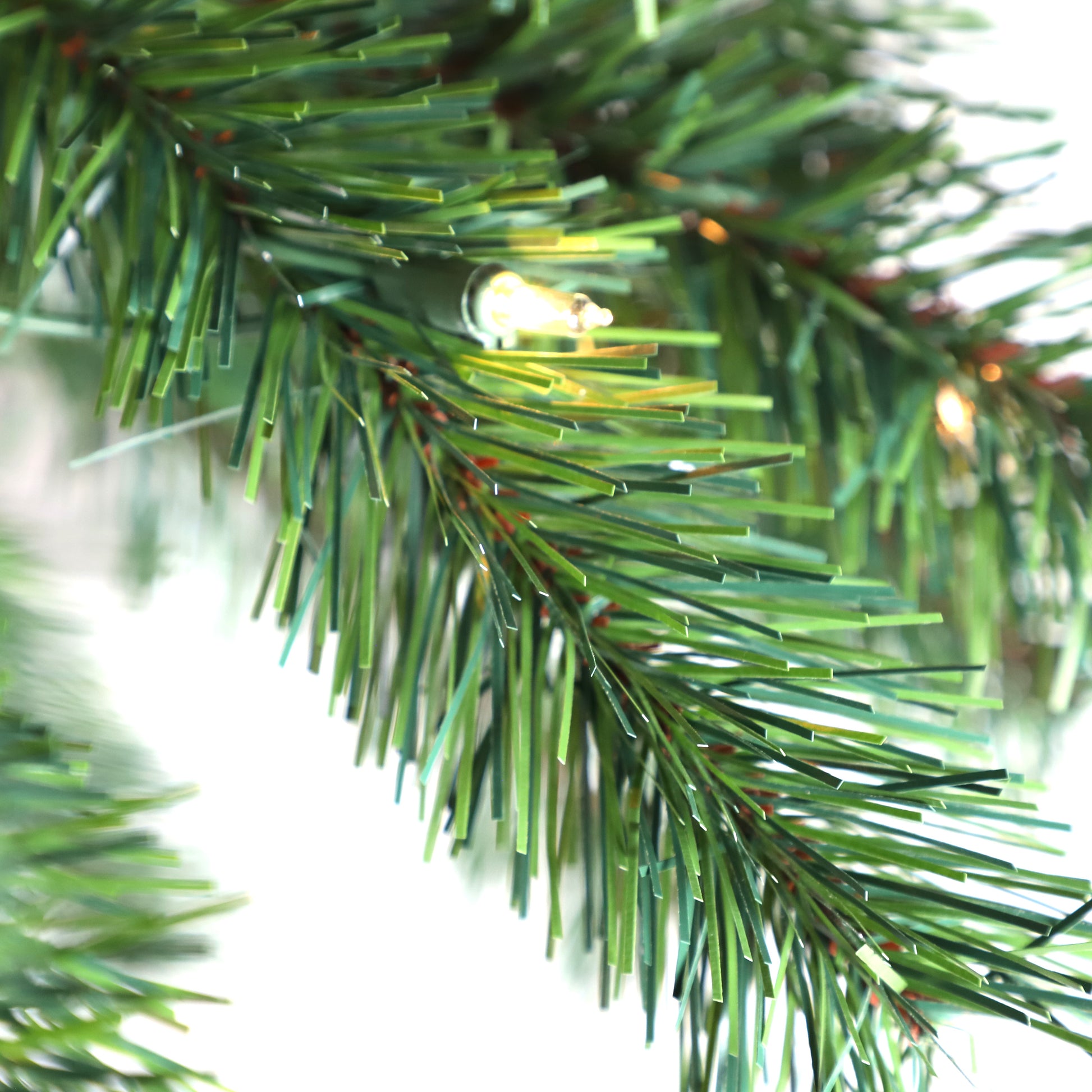 6 / Clear Incandescent