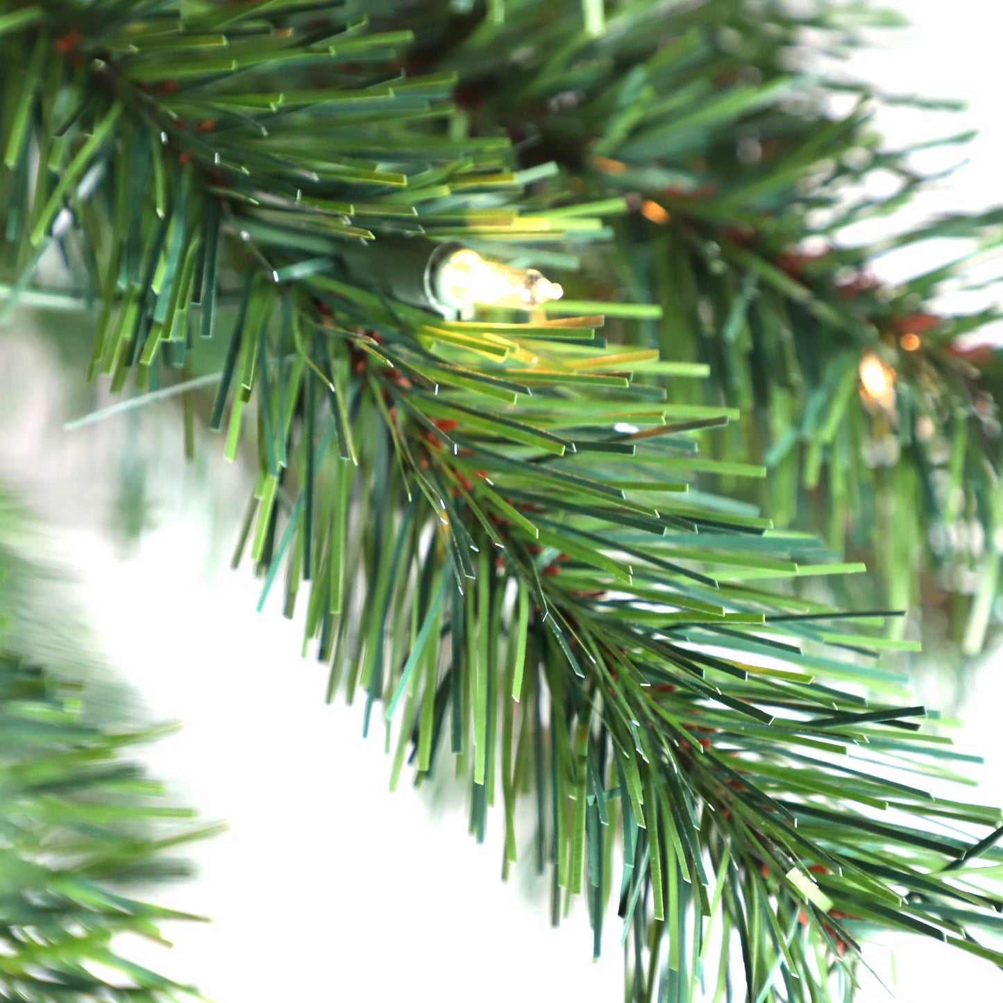 6 / Clear Incandescent