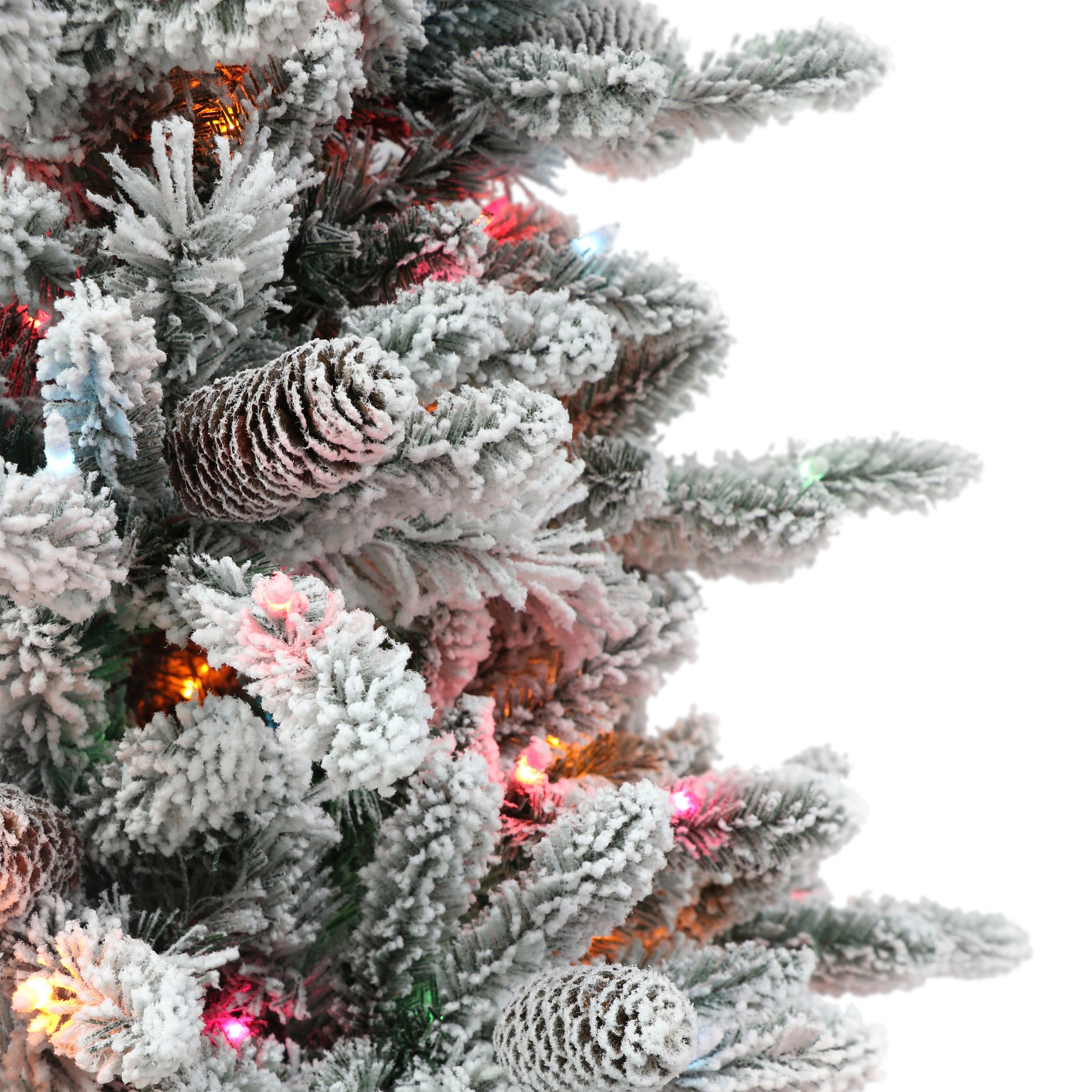 6.5 / Clear/Multi Incandescent