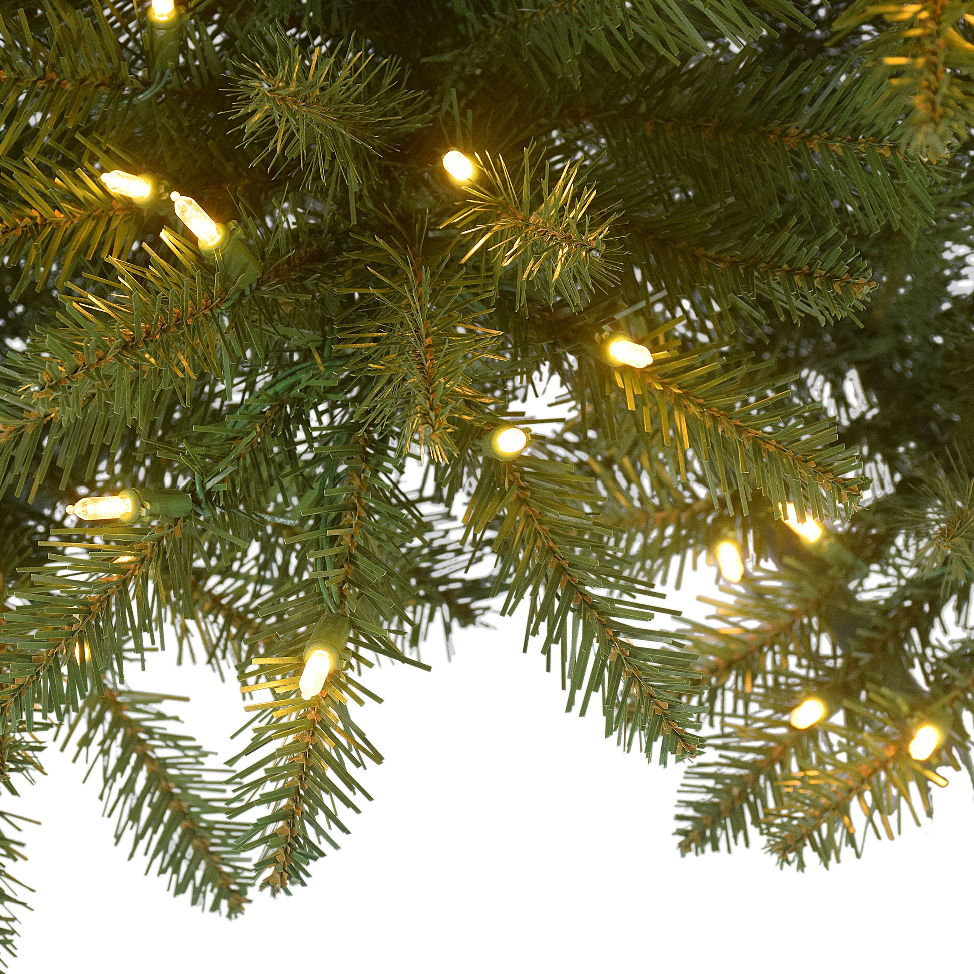 10 / Slim / Clear/Multi LED