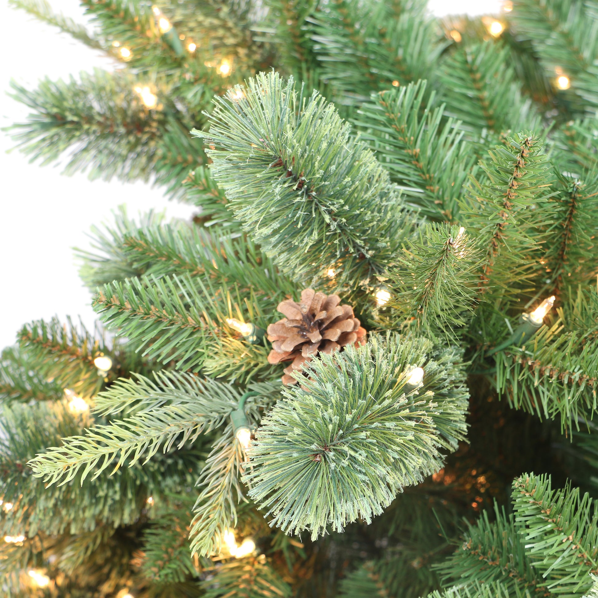 7.5 / Clear Incandescent