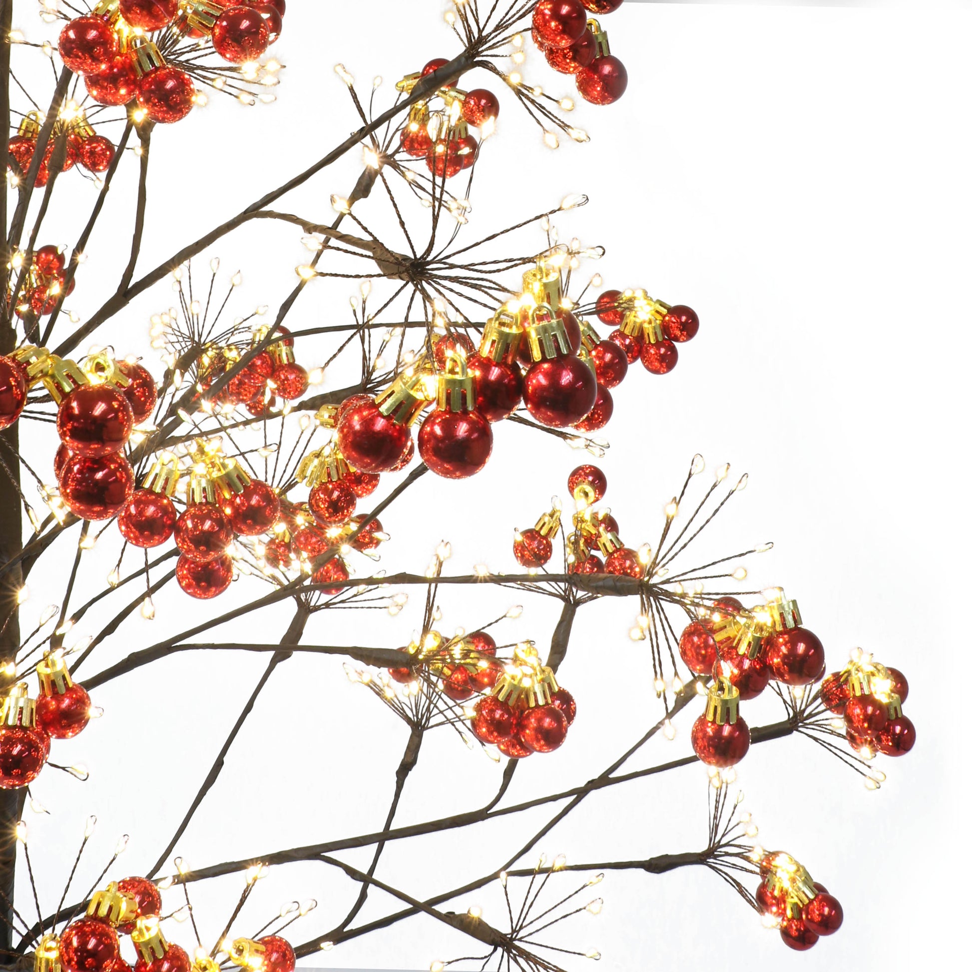 6 / Warm White LED / Black