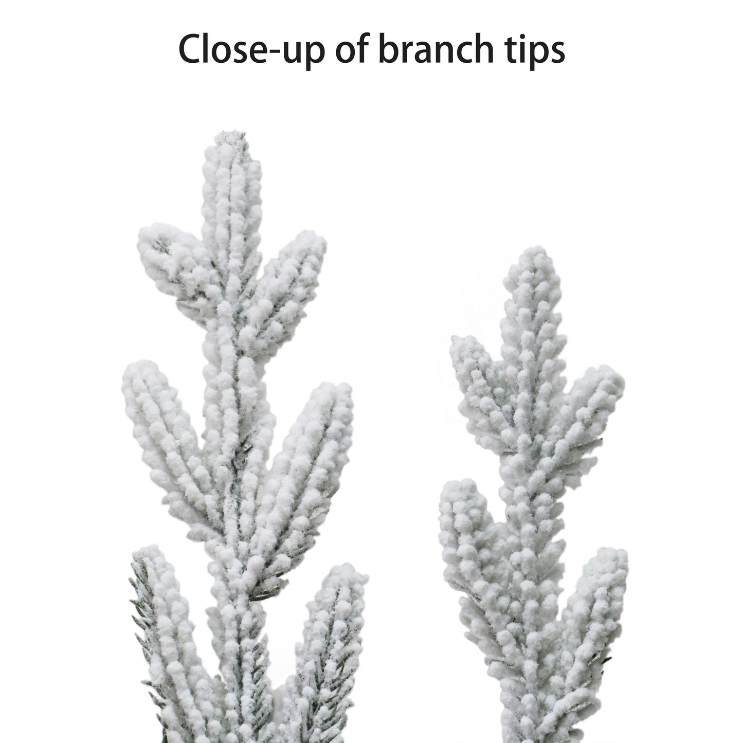 4.5 / Clear Incandescent