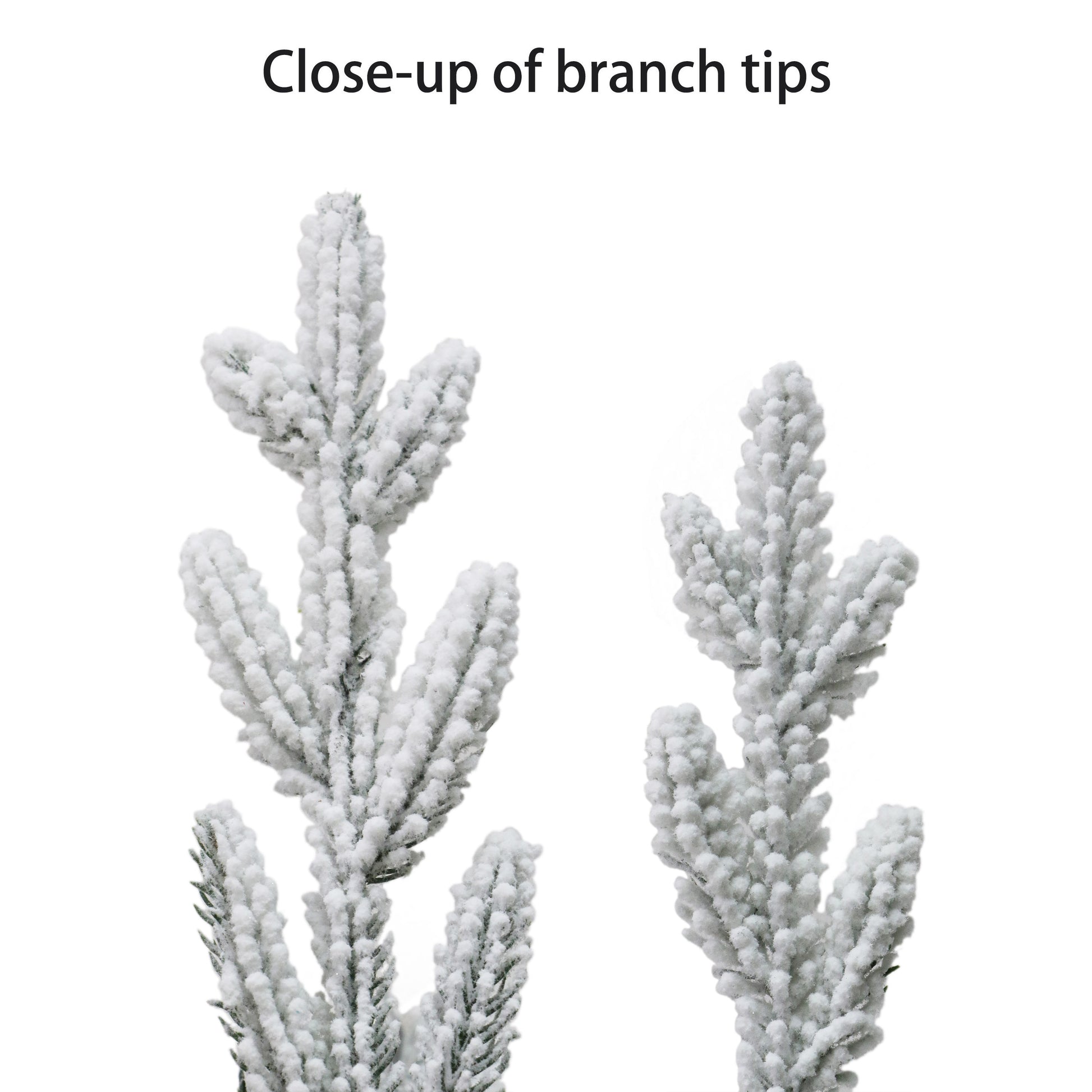 4.5 / Clear Incandescent