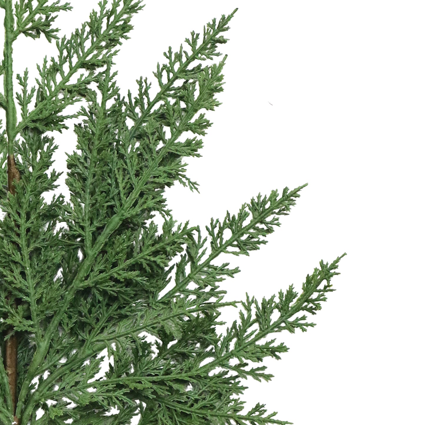 Puleo Classics Cedar Branch Kit - 6 Pack