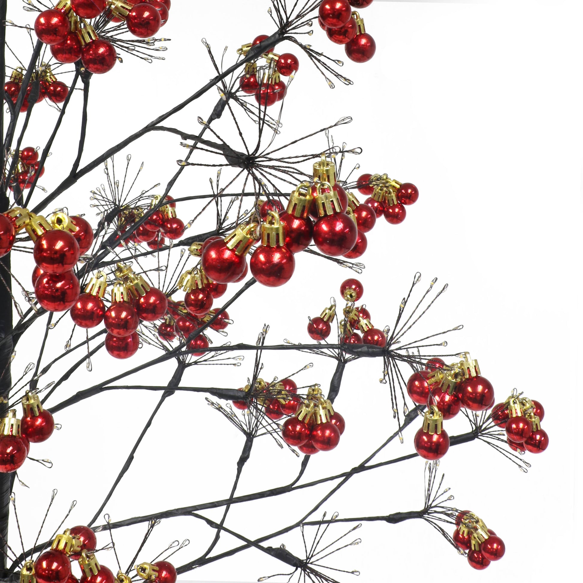 6 / Warm White LED / Black