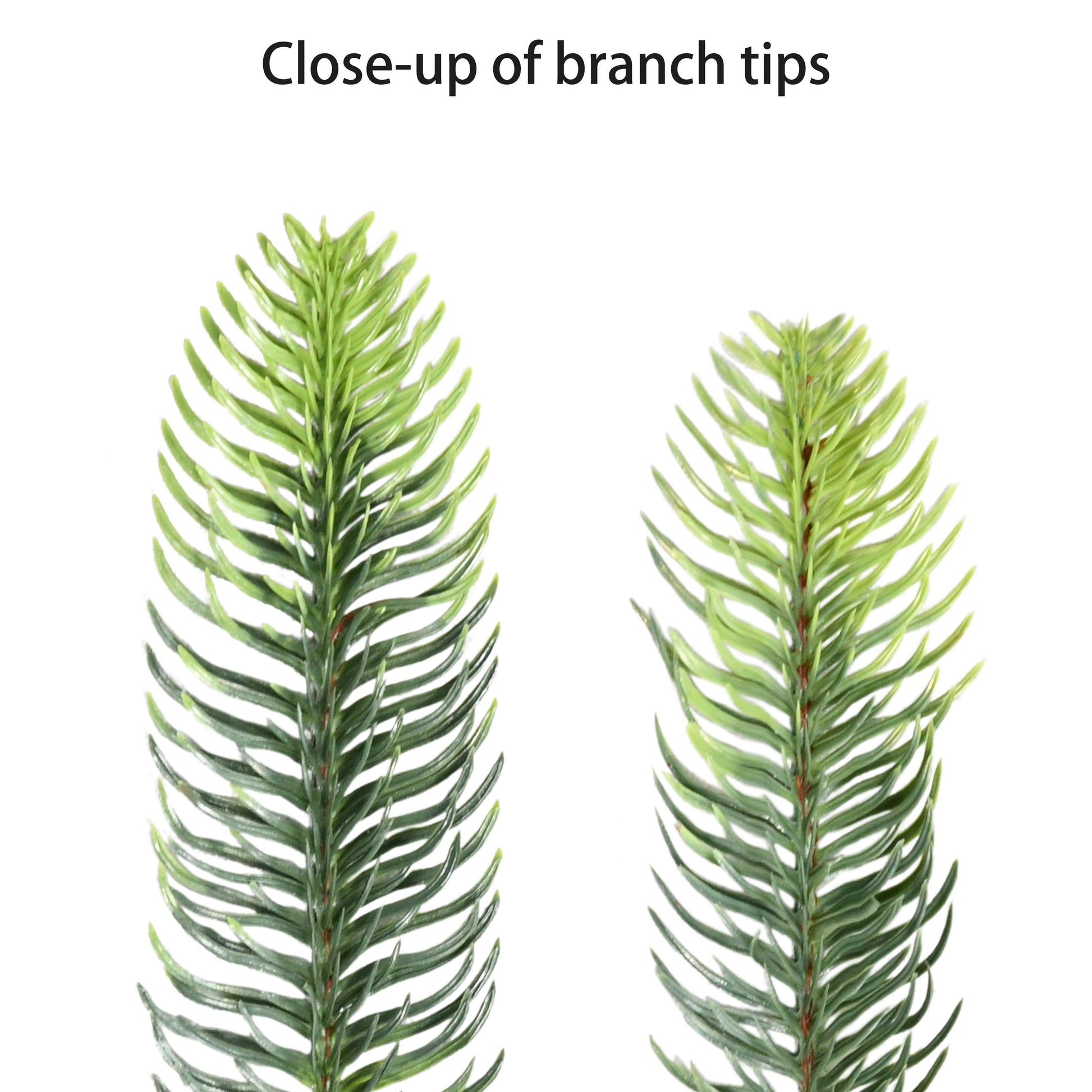 9 / Full / Dual Function Clear/Multi LED