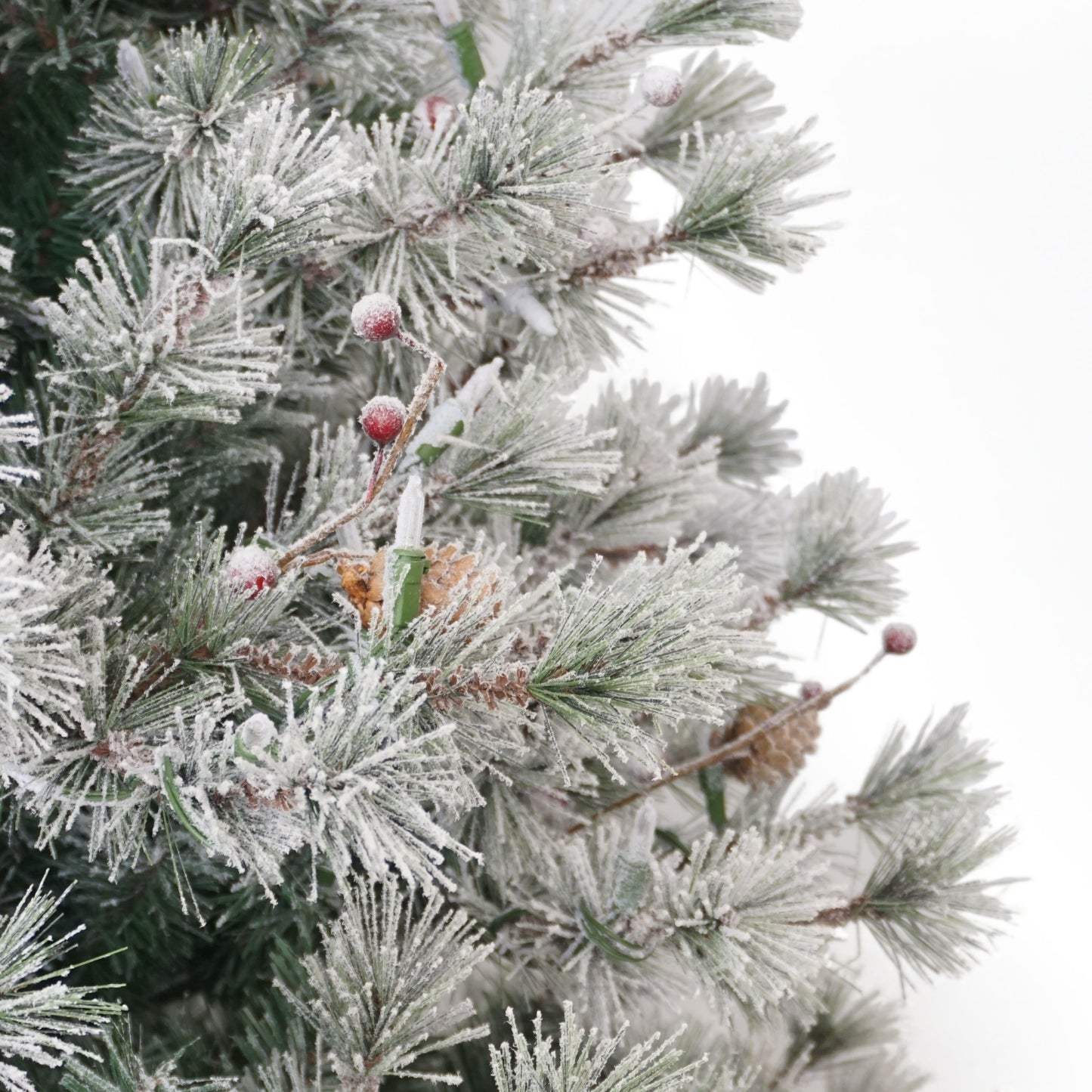 7.5 / Full / Warm White LED