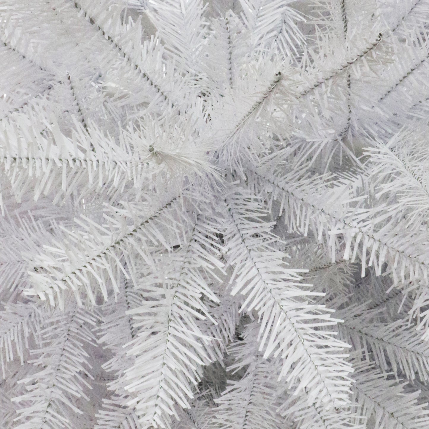4.5 / Clear Incandescent / White