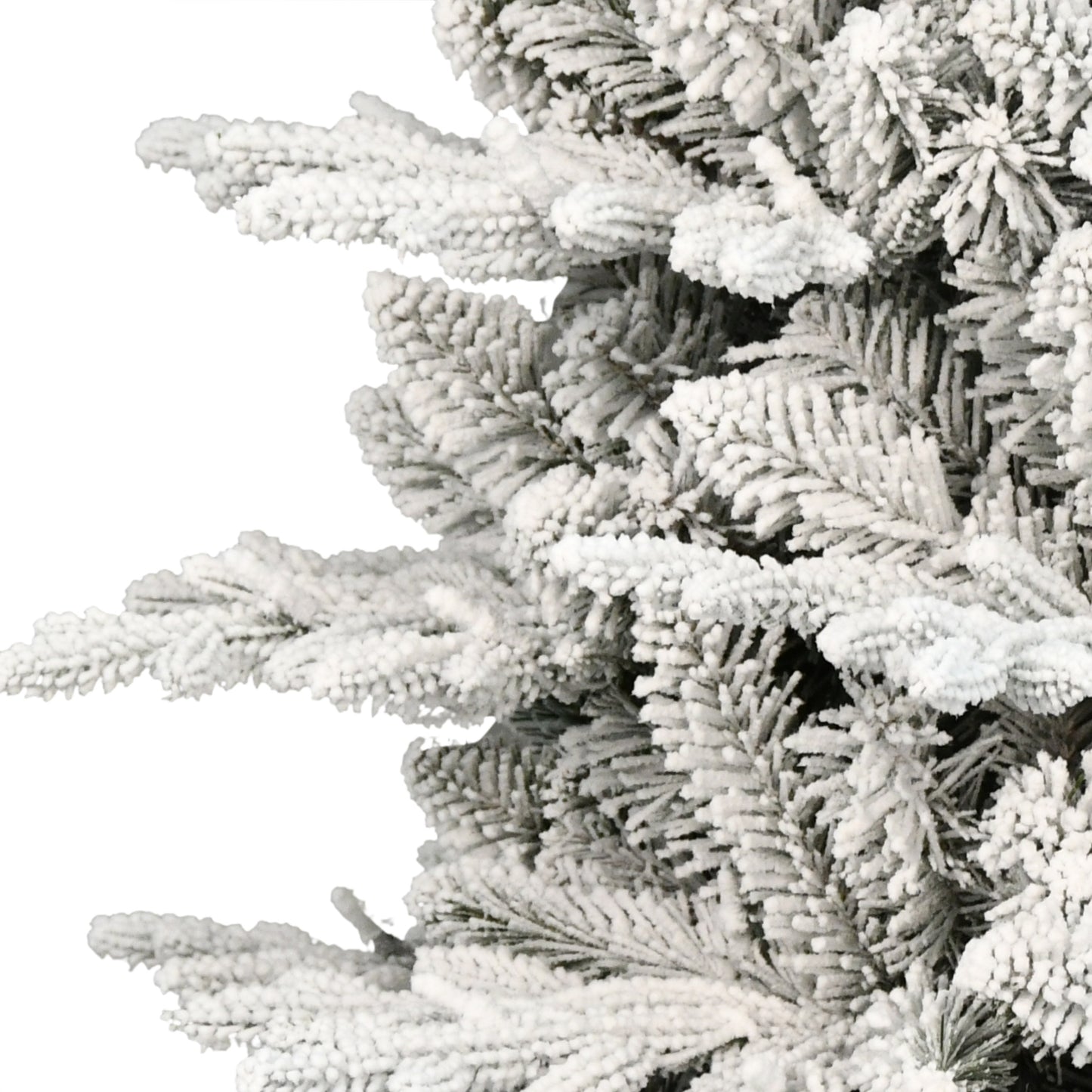 4.5 / Clear Incandescent