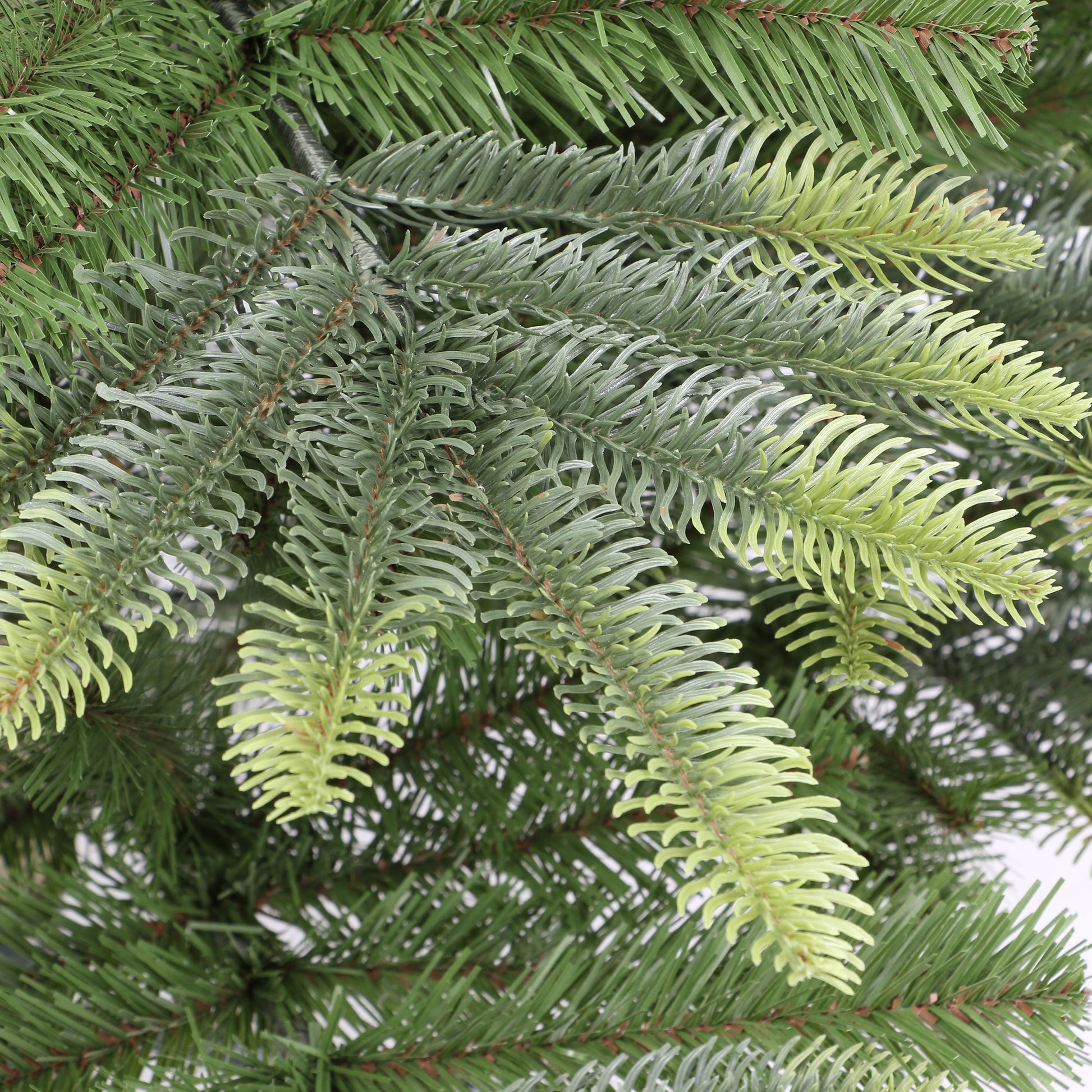 4.5 / Full / Clear Incandescent