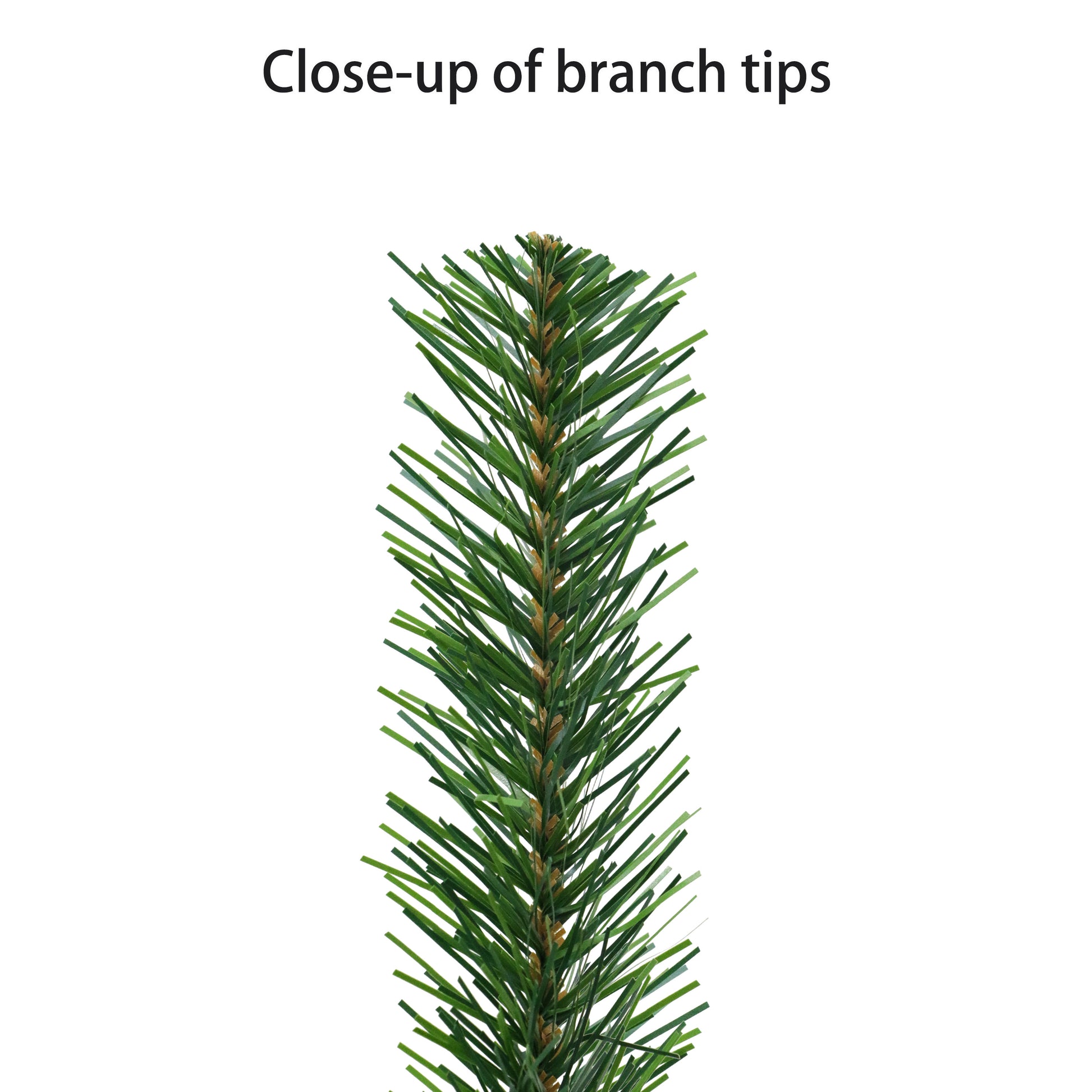 4.5 / Full / Clear Incandescent