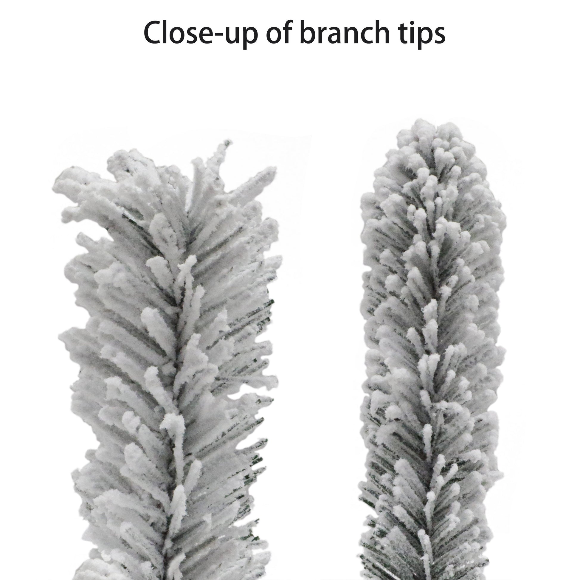 6.5 / Clear/Multi Incandescent