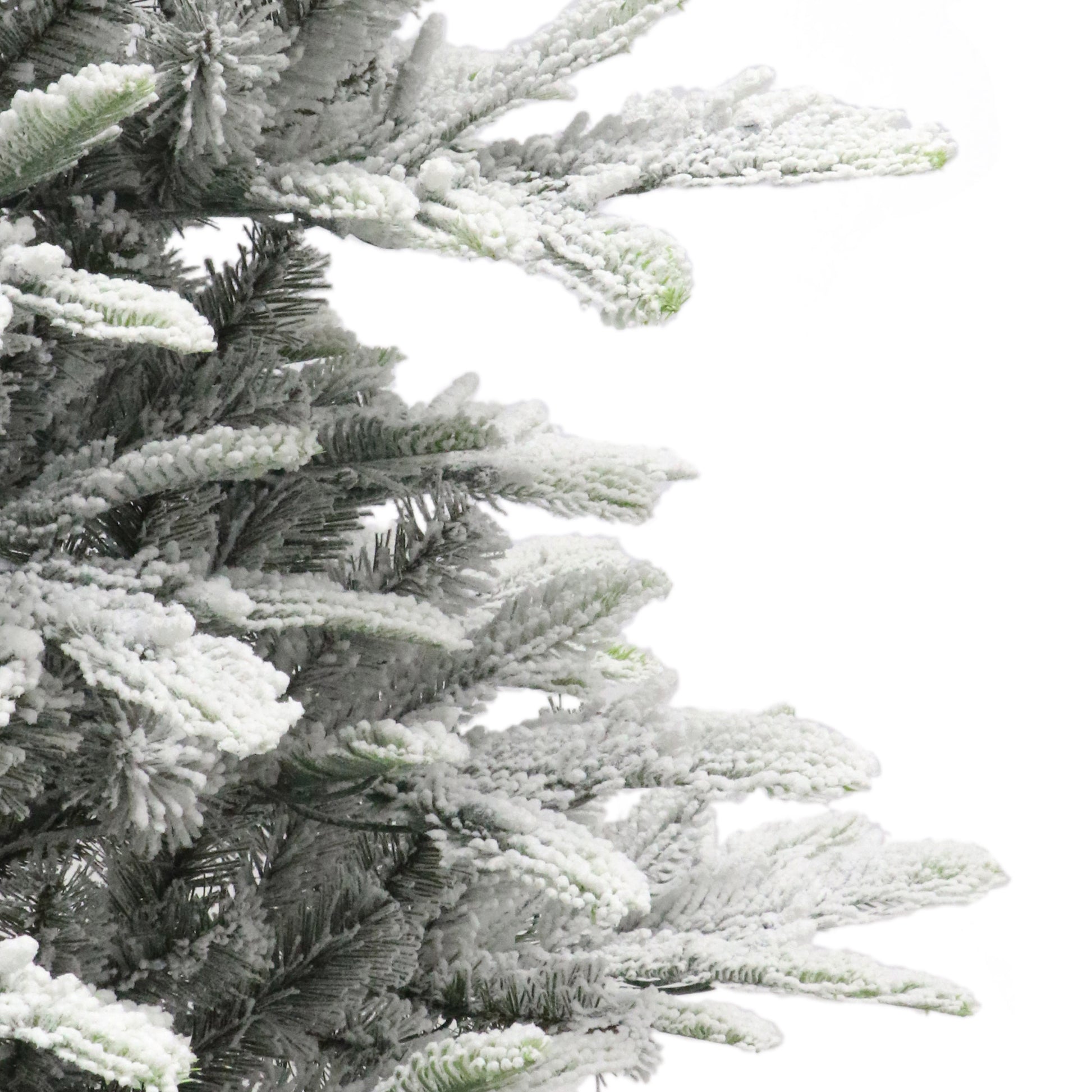 4.5 / Full / Clear Incandescent