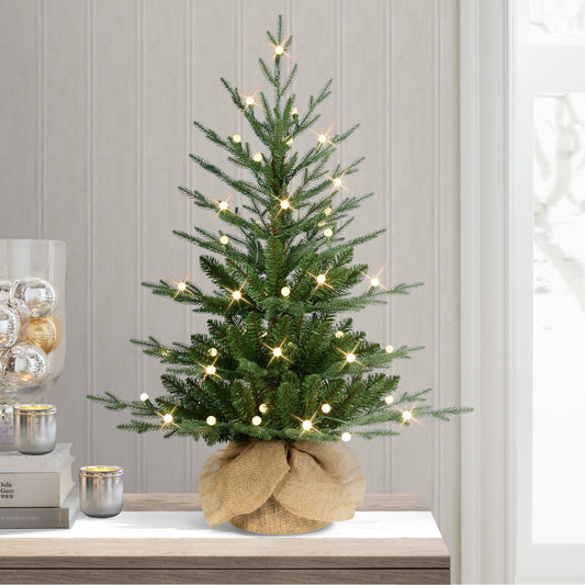 2 / Conical / Warm White LED