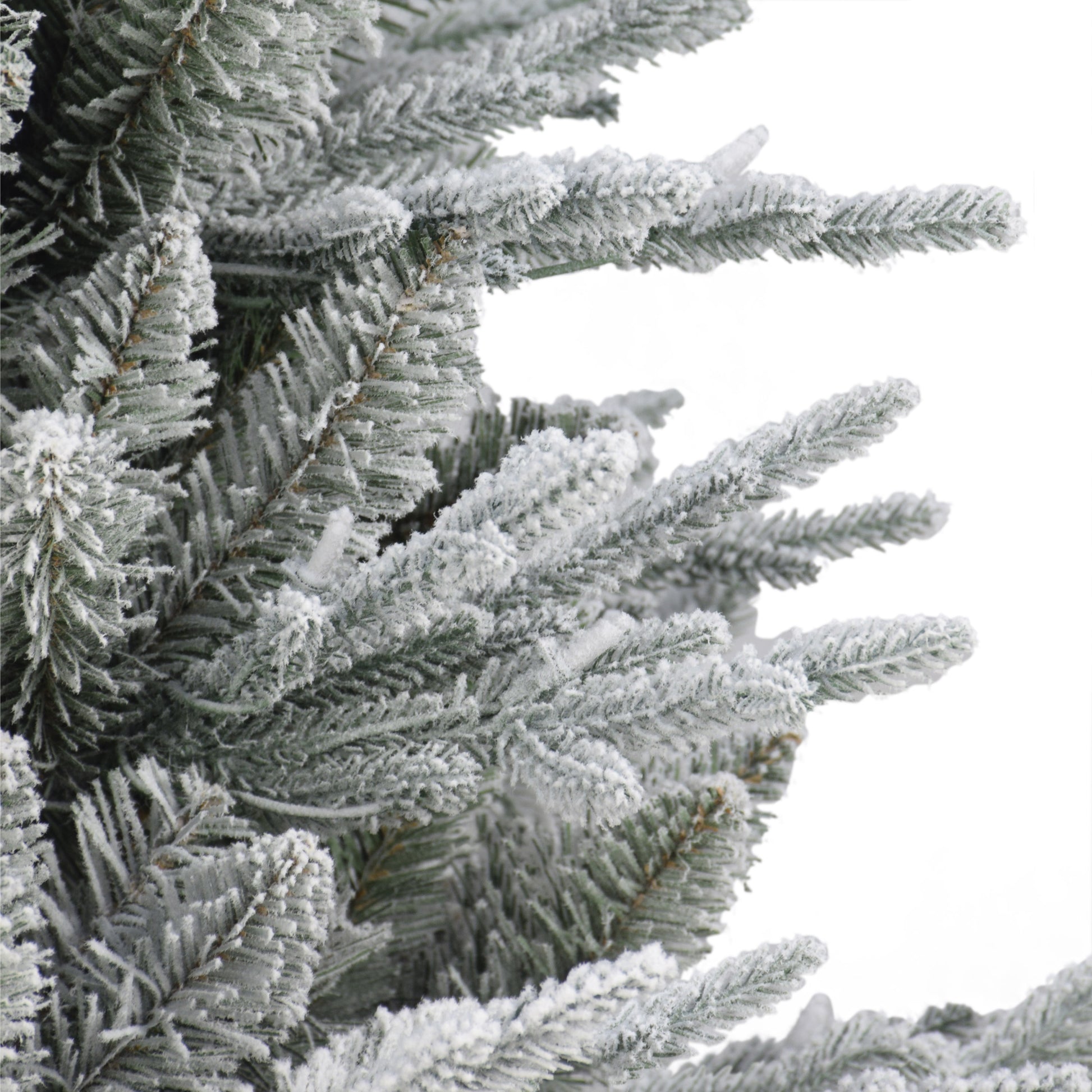 2 / Warm White LED / Flocked