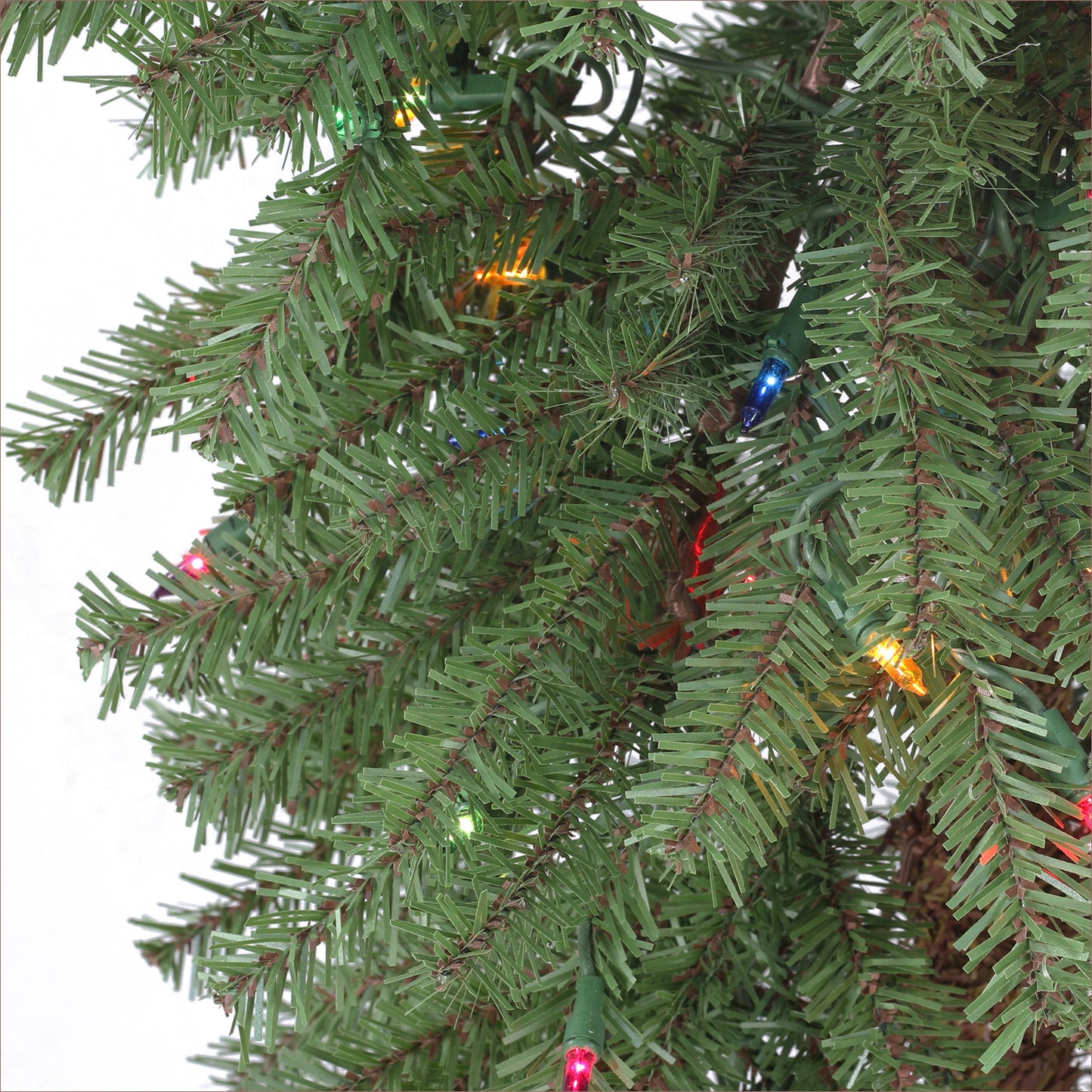 6 / Clear/Multi Incandescent / Green