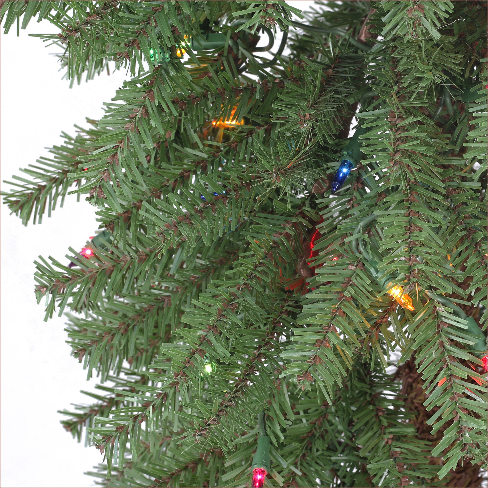 6 / Clear/Multi Incandescent / Green