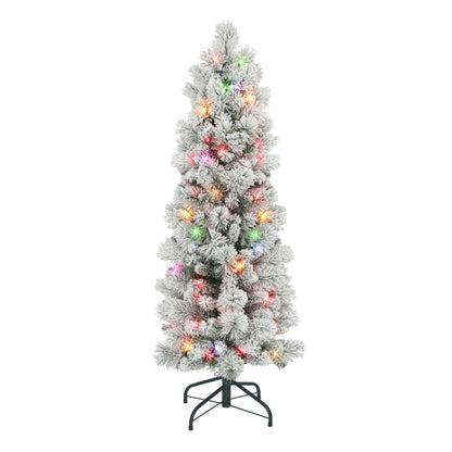 4.5 / Clear/Multi Incandescent