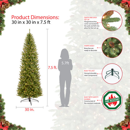7.5 / Clear Incandescent / Green