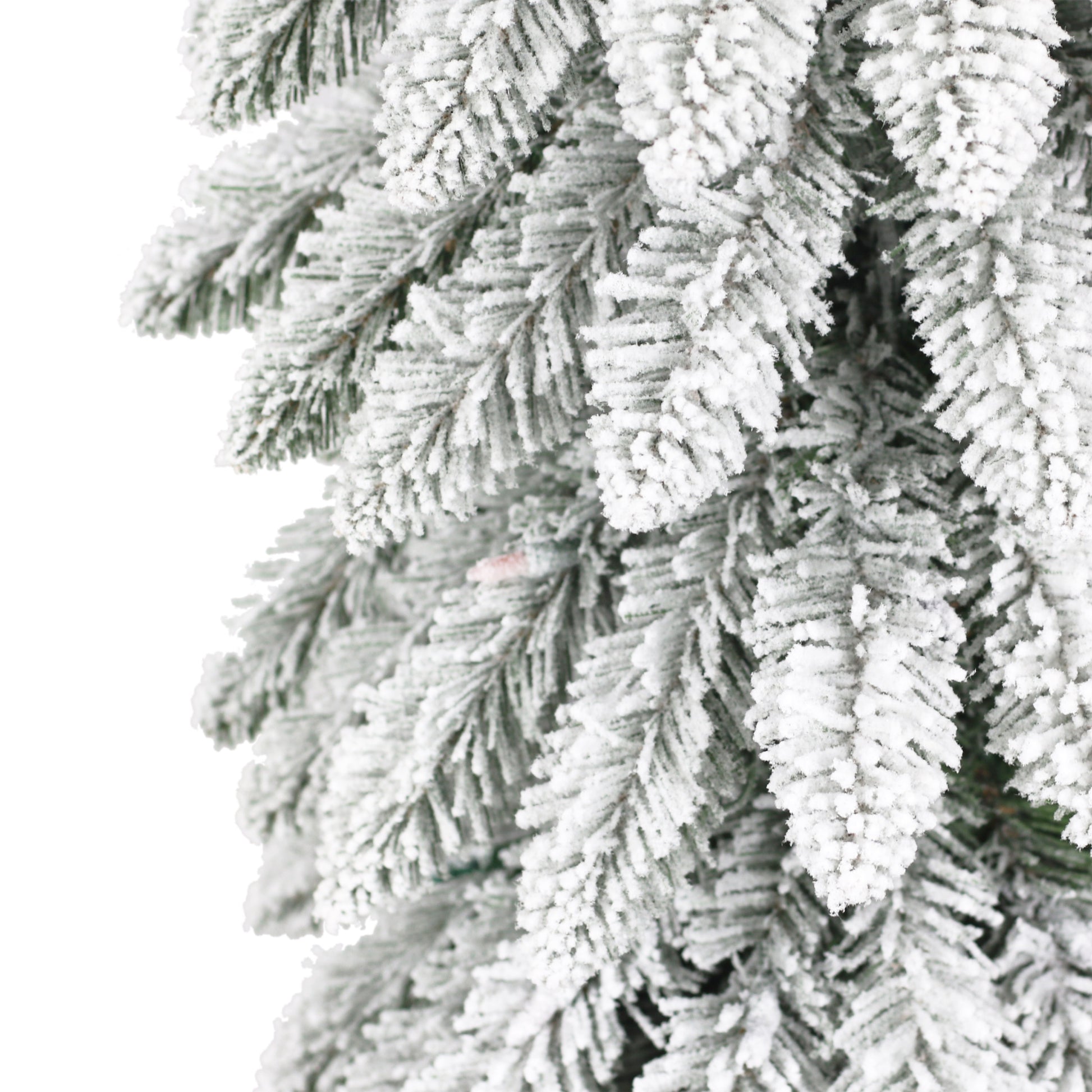 7 / Clear/Multi Incandescent