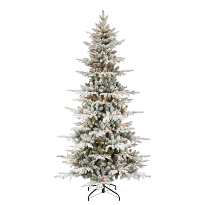 7.5 / Full / Clear Incandescent