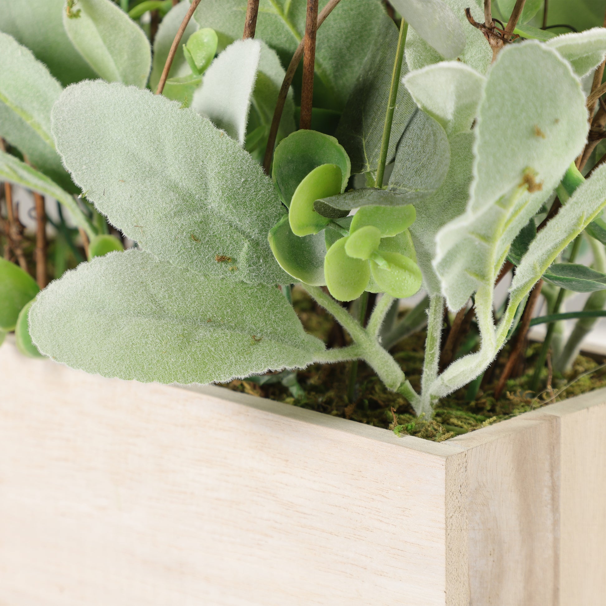 lambs ear indoor plant 11" Lambs Ear Centerpiece with Twigs & Greenery Leaves in Wood Planter – puleointl
