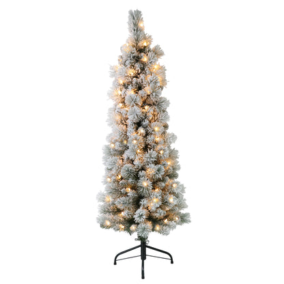 4.5 / Clear Incandescent