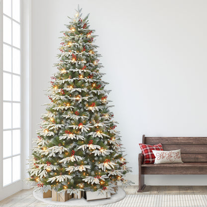 9 / Full / Clear Incandescent