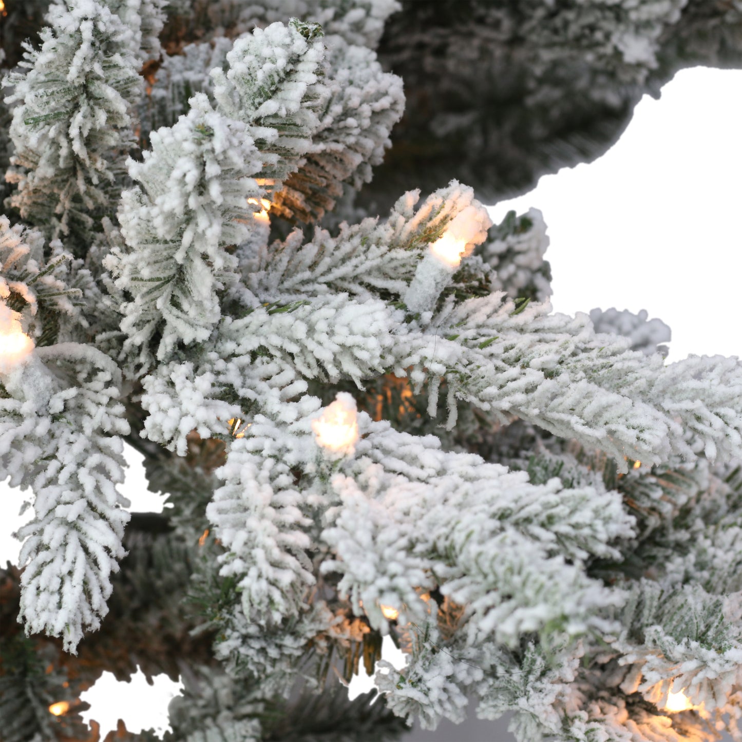 4.5 / Full / Clear Incandescent