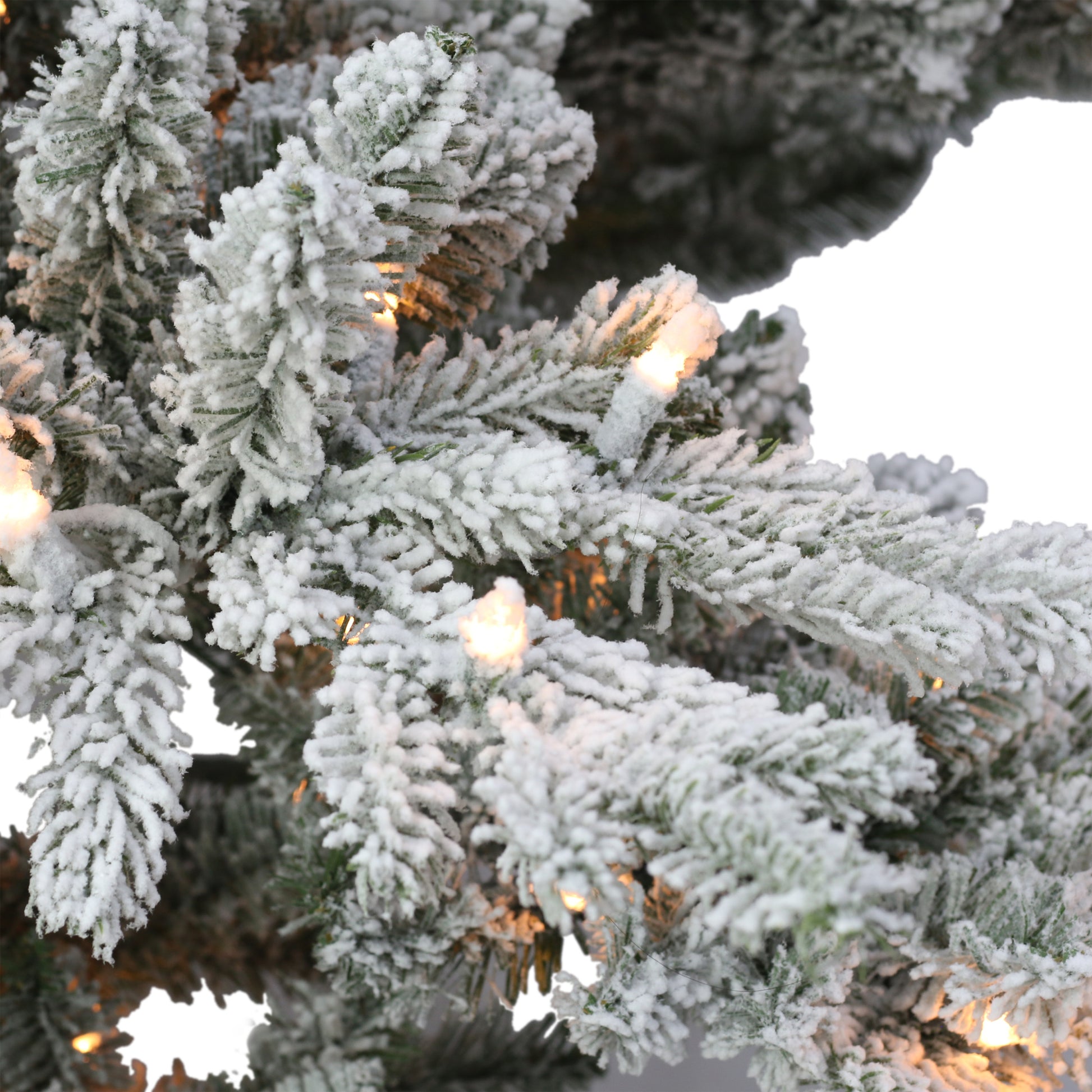 4.5 / Full / Clear Incandescent