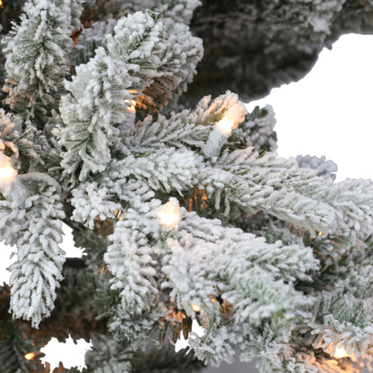 4.5 / Full / Clear Incandescent