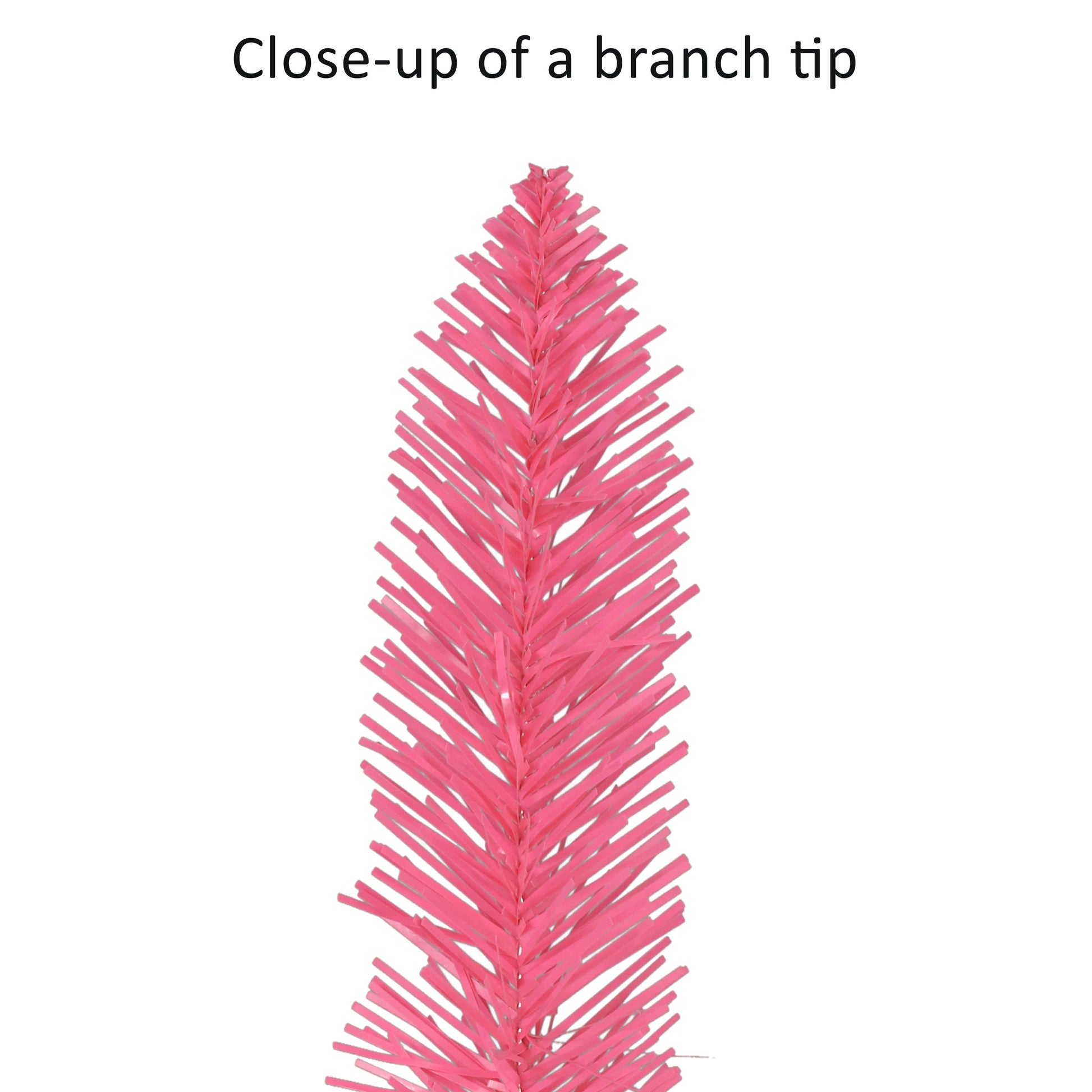 6 / Pink