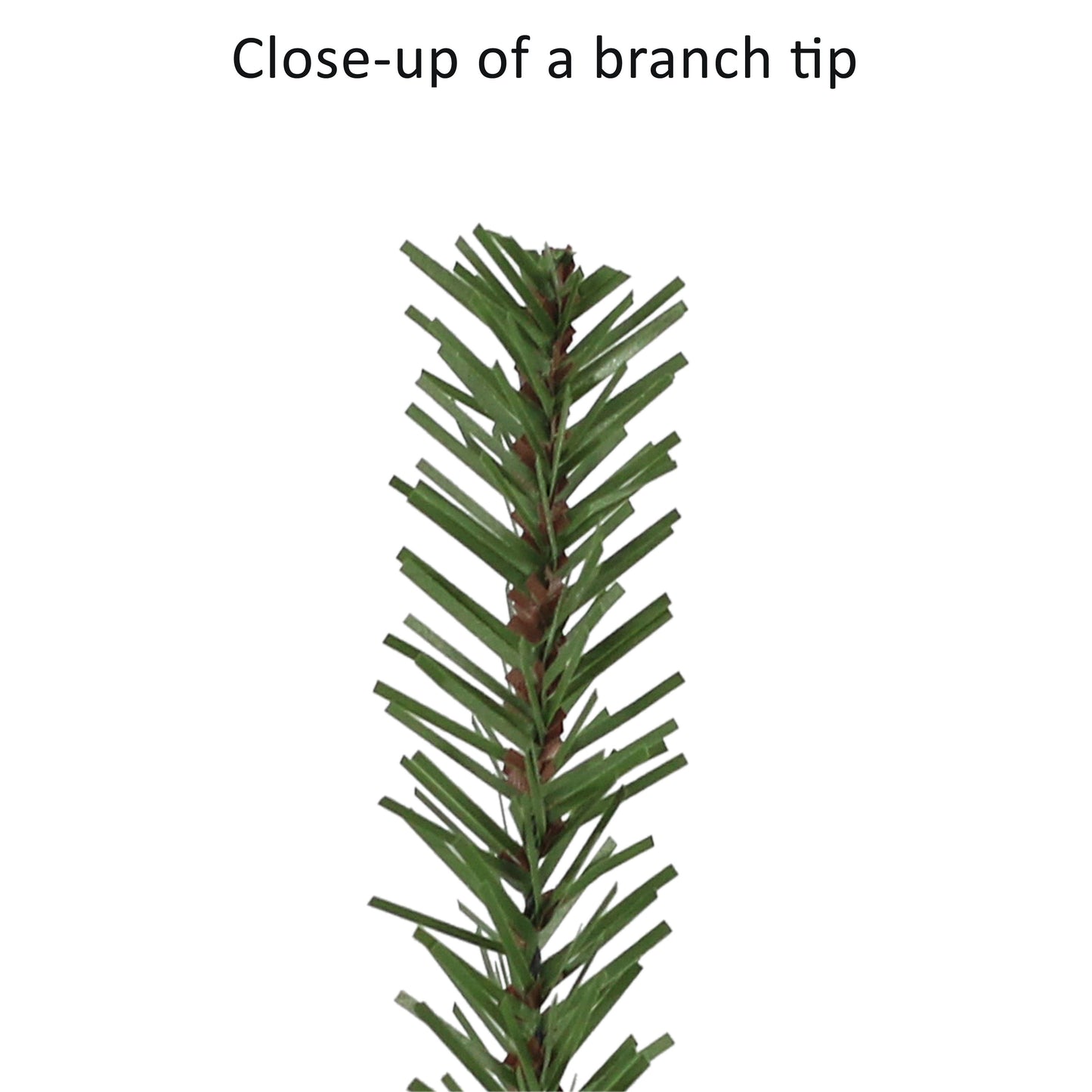 7 / Clear Incandescent / Green
