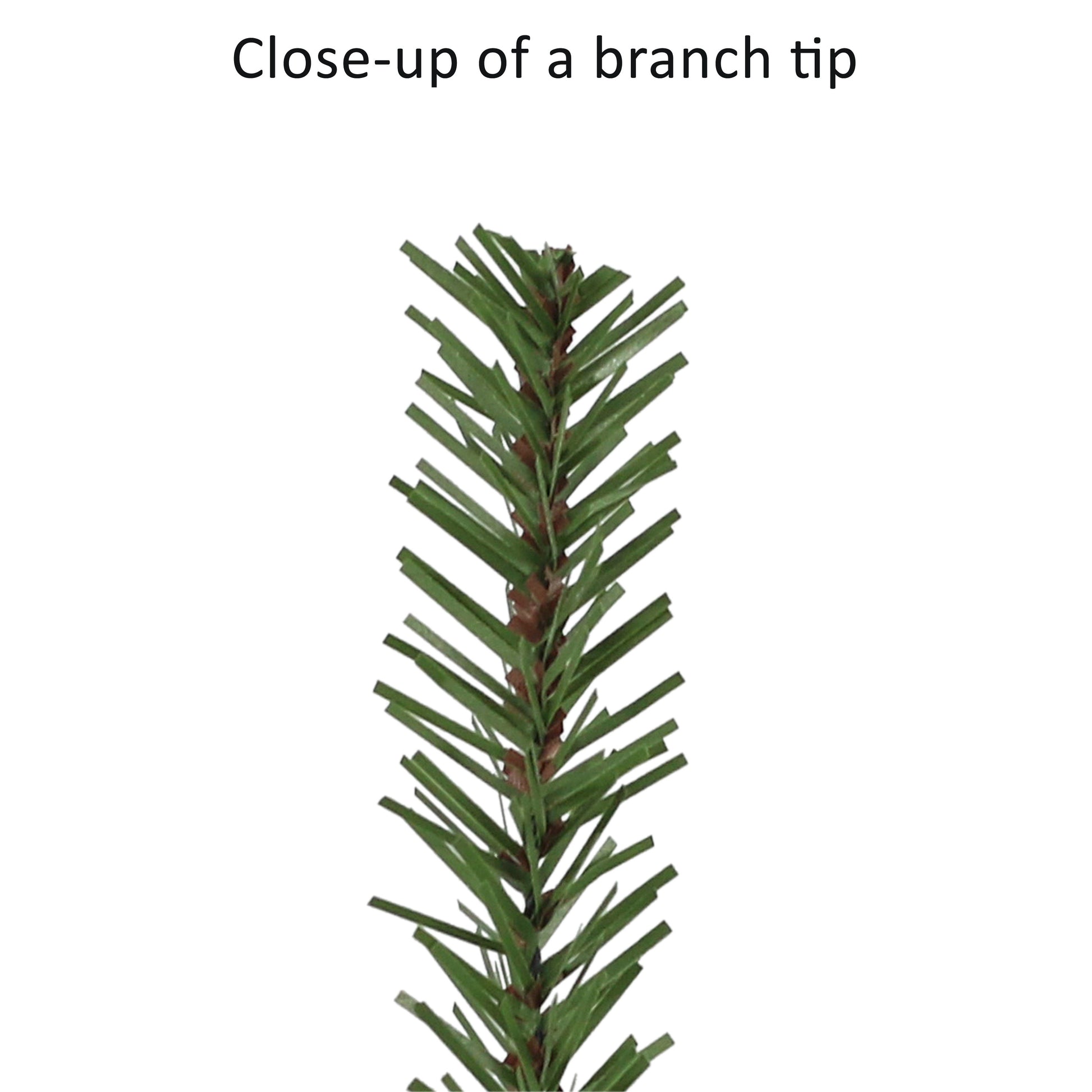 7 / Clear Incandescent / Green