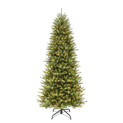10 / Slim / Warm White LED