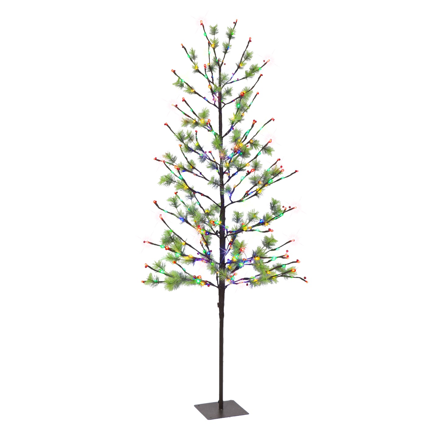 6 / Dual Function Clear/Multi LED / Green