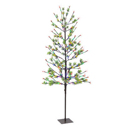 6 / Dual Function Clear/Multi LED / Green