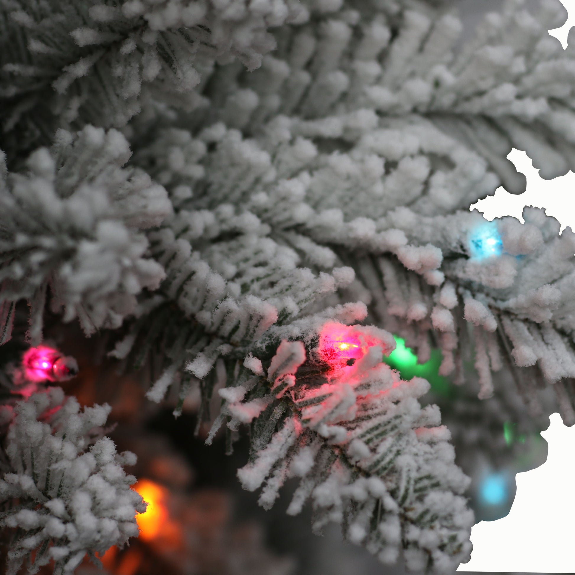 7.5 / Clear/Multi Incandescent