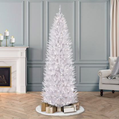 6.5 / Clear Incandescent / White