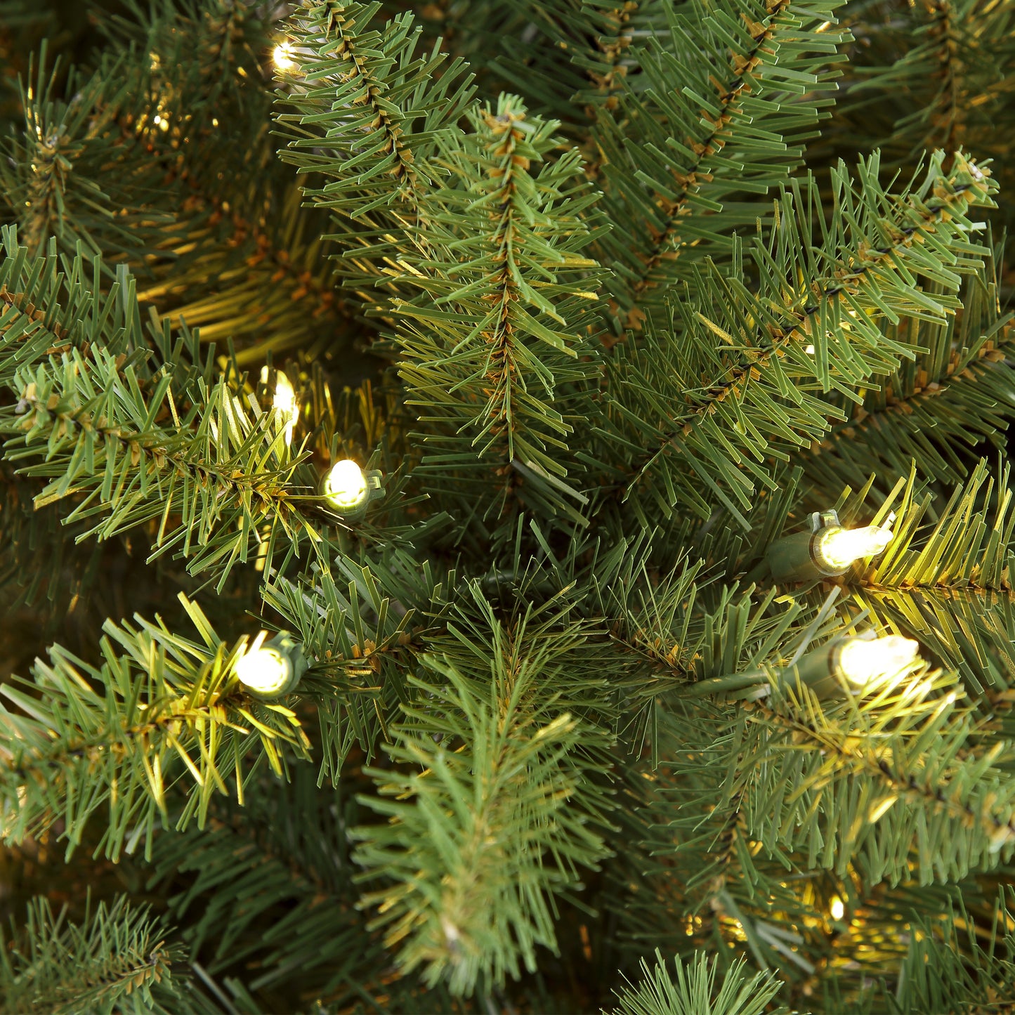 10 / Clear Incandescent / Green